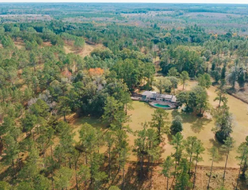 Mays Island Timberland – $14,899,500 – SVN Saunders Ralston Dantzler
